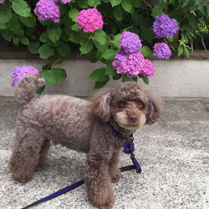 E54612d9 05e0 4f0e 9156 fe85fc9ddf1d