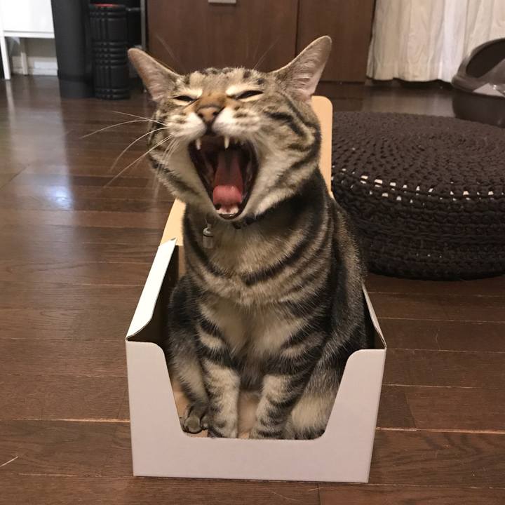 E546600c ed84 412c 843c 29f182f81715