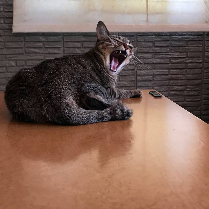 E54683f3 ec61 4840 8a05 3effa86a4cf7