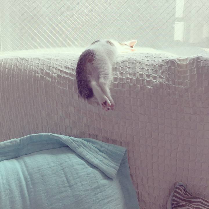 E546c121 bad3 4687 a2c8 47697fec9b57