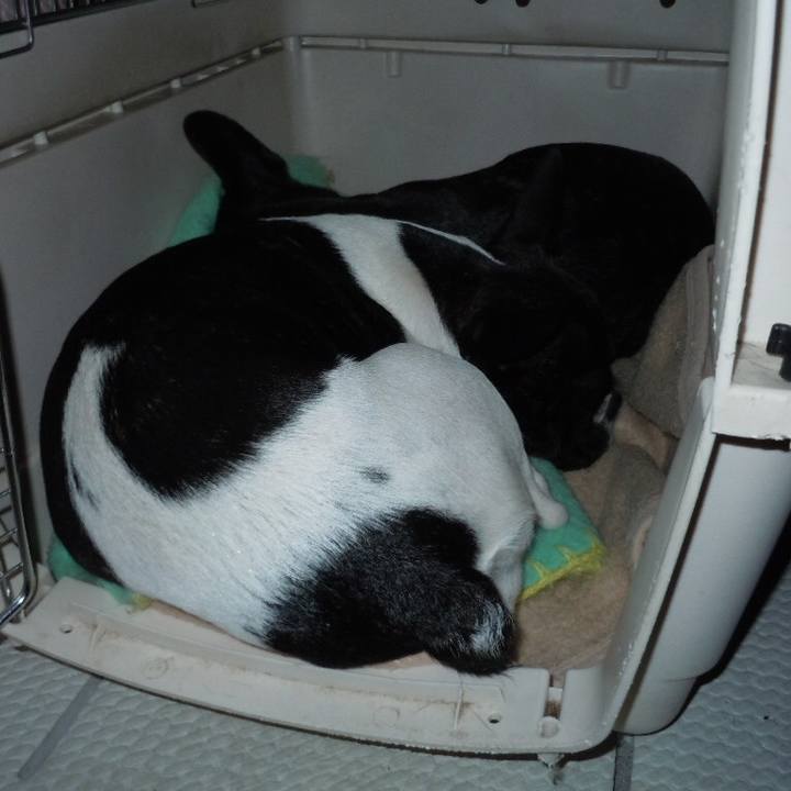 E546d6a3 fc86 4f7e 818a 2765954a8d0a