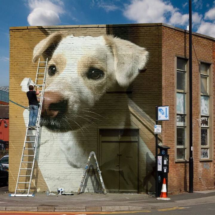 E546e677 ce6f 4468 a070 a08c95cc003a