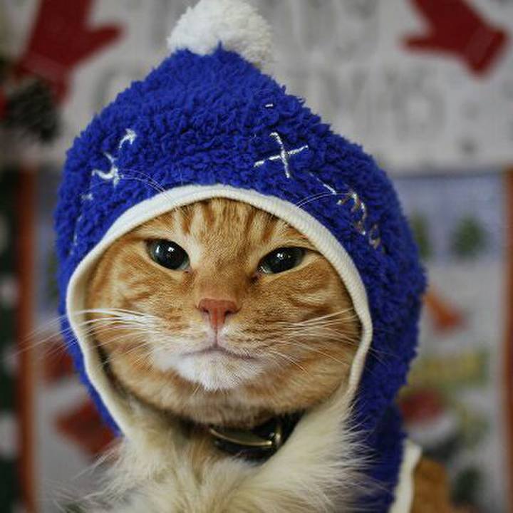 E546fe7d e3bb 4dac b0a5 454d0107713e