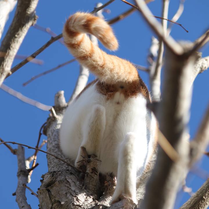 E547b4e6 5735 4a47 bfb6 883dfba65b47