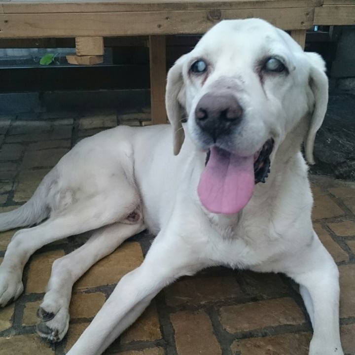 E547b898 8ad5 4ea4 84bb 2799cea9dac2