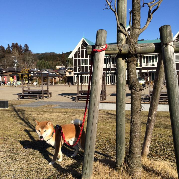 E5490c09 2ad9 4904 84f3 161e38f5f83c