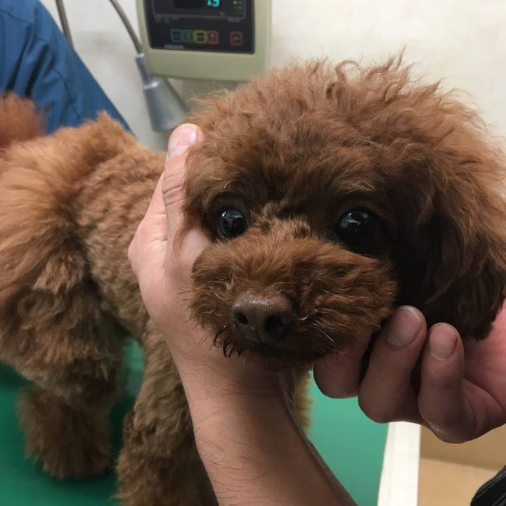 E5494b30 20a4 466f 8d6d ebeaaa69ad77