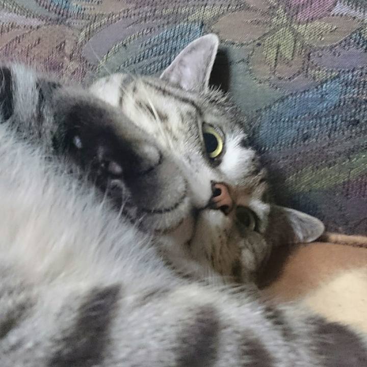 E54959df 921c 4f71 a45b 67efe2131ea4