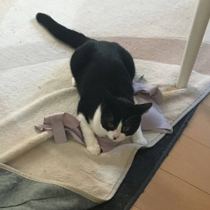 E5496d05 75d6 4c1e 8557 fa26b2cc1f00