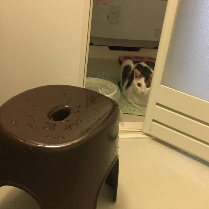 E54ac053 6283 4160 a19b 85756846d6d0