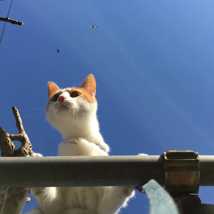 E54b0929 8f34 4606 9b29 d463f1a58d22