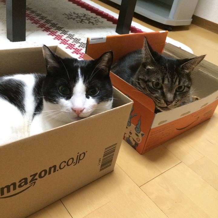 E54b398c 4b82 44f9 a1ca eae1a62e0766