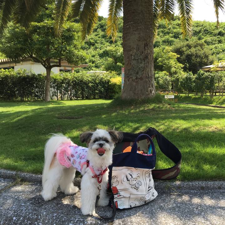 E54bb59a c57e 4e33 88b1 fe3eed2f5849