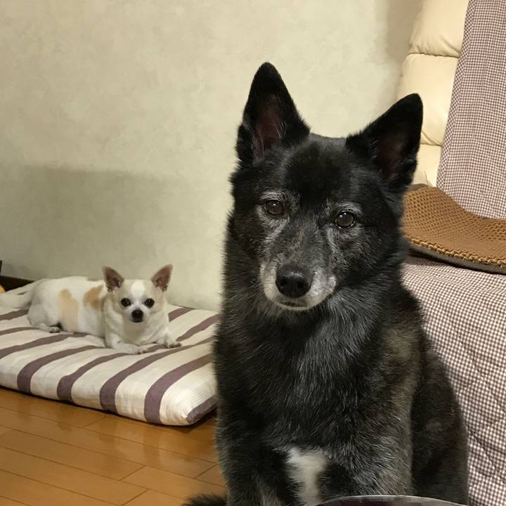 E54c7d63 0133 4378 95b4 2f81b5c25c25