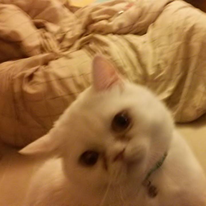 E54c824b 0c96 45be 92c1 29d3bfe8e75d