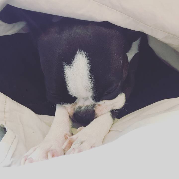 E54da661 572e 4d88 80b3 75f15dba5272