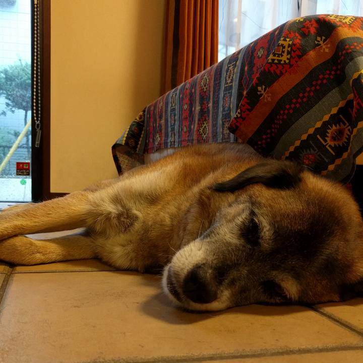 E54ddefc b85d 4ca2 903f dafdd82ef436