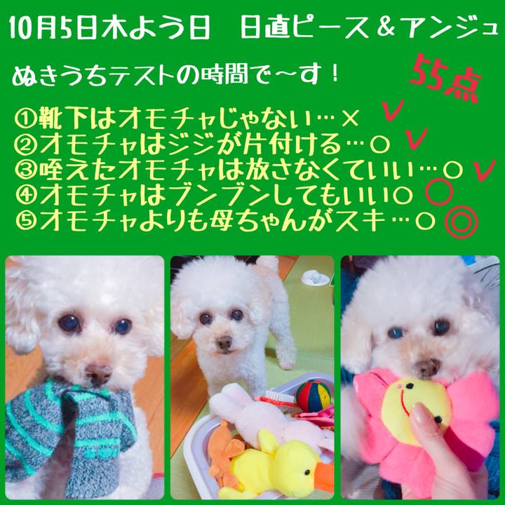 E54e72b1 6e7c 499e 9c52 e23f3530846c