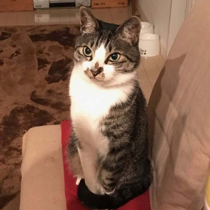 E54eb216 7cdc 4207 bd36 1e0bf0f64047