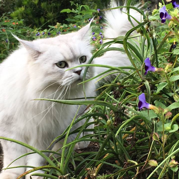 E54f7dc2 ec93 44aa 89ef 7c9e6bec011e