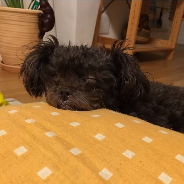 E54fa549 0efe 4deb b5d7 4c6745235336