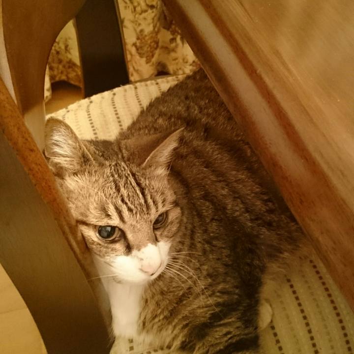 E550a159 0e11 48bc 8e09 0b9ababd86ff