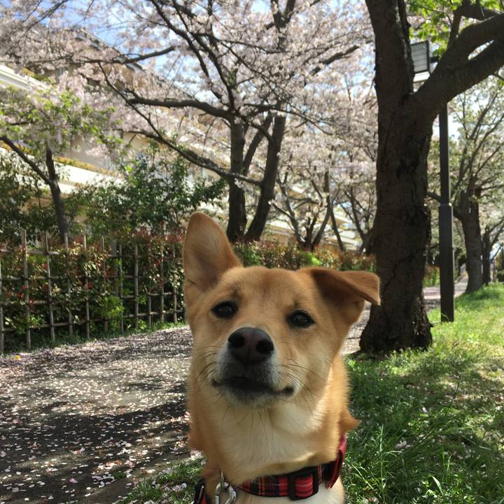 E550ffcb 975c 4968 88c8 ba9aa2f1377c