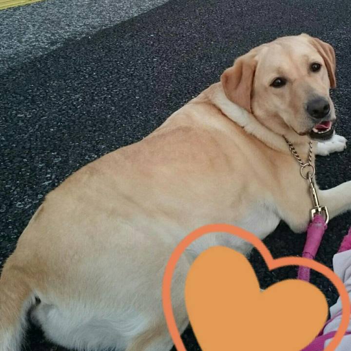 E5513d23 8218 4d84 be1f 3c36cb326387