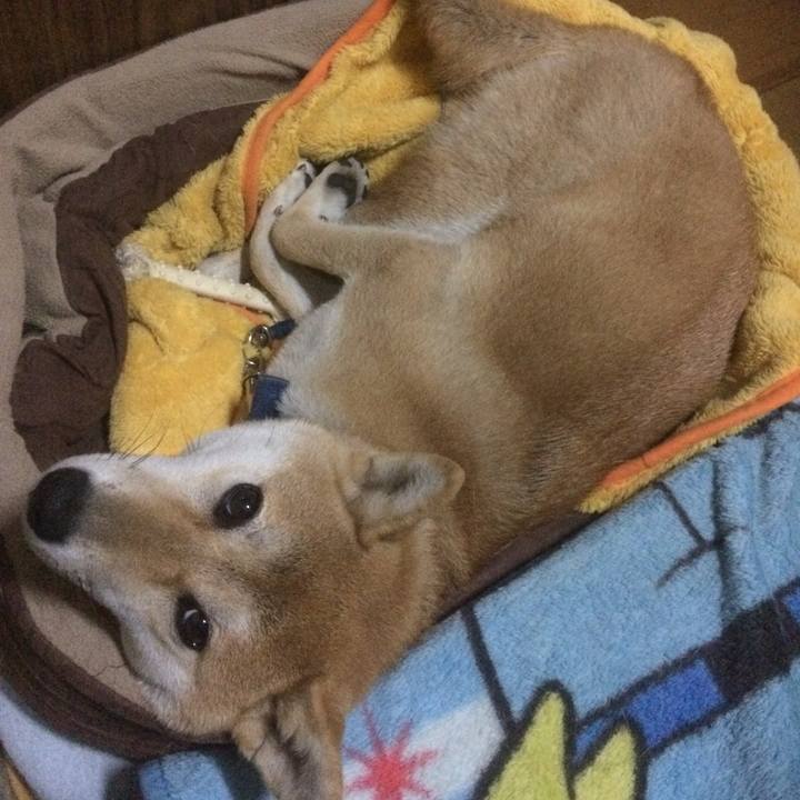 E551c488 4e25 483e a03e fa7ee033b174