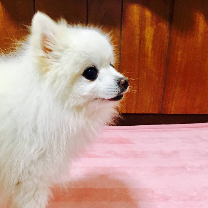 E5524819 8b2d 4f08 80c6 435c98d28b3b