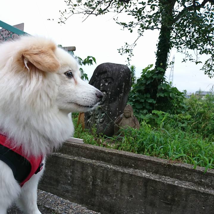 E5524ace a09e 4b4a 989f b0c28e8c1d62