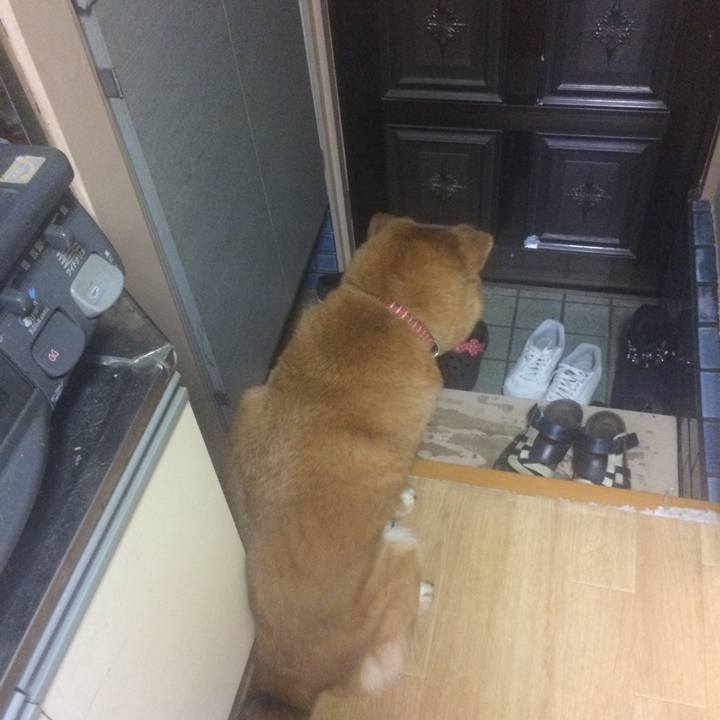 E55270a5 657b 4925 9c84 0e619c6ebe53