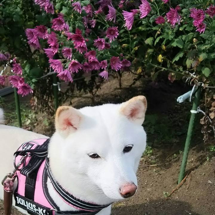 E552a252 3cbe 4e8f 912d aa9303bb9617