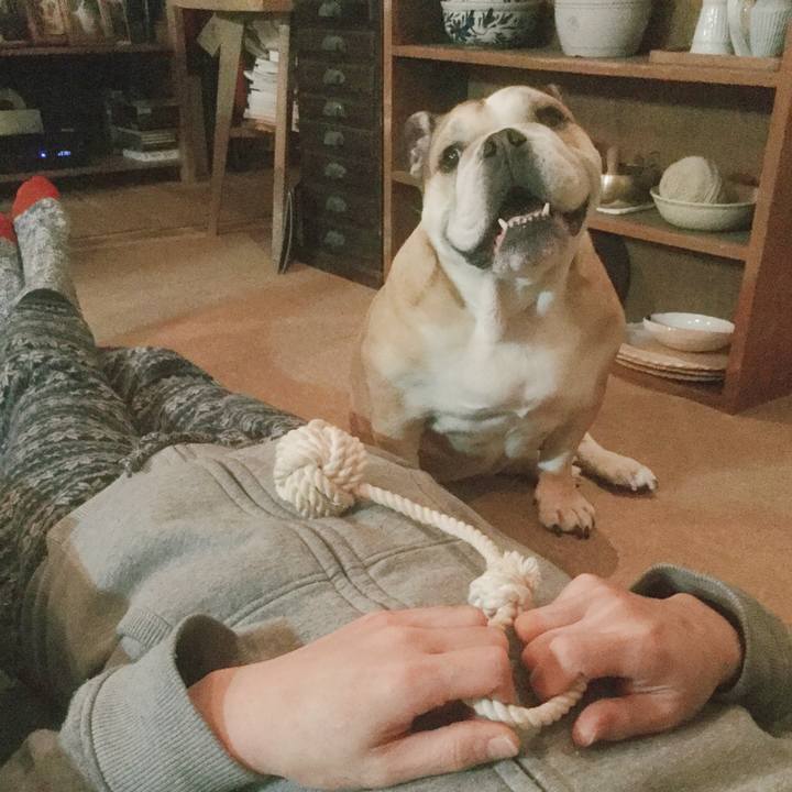 E552c45a 071e 4cf1 8ad7 35757f5ad99b