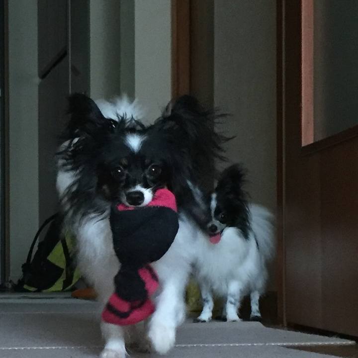 E552c6b3 fa31 40ef b597 fb45087a41db