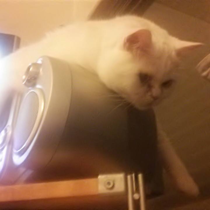 E5534631 7fc9 46ef a68d fb852df60425