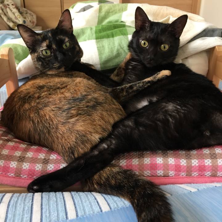 E553a65b 7bba 4785 98aa a93766bef37e