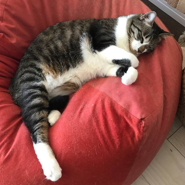 E553ad50 6242 4265 878a 3d6cf5740f8d