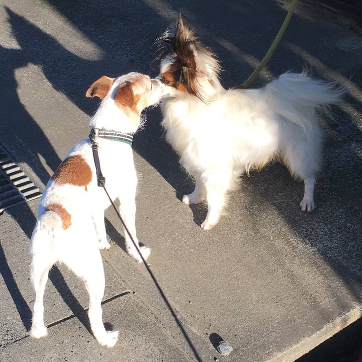 E553d97f 3000 4c2c b23d 237ee65dc16a