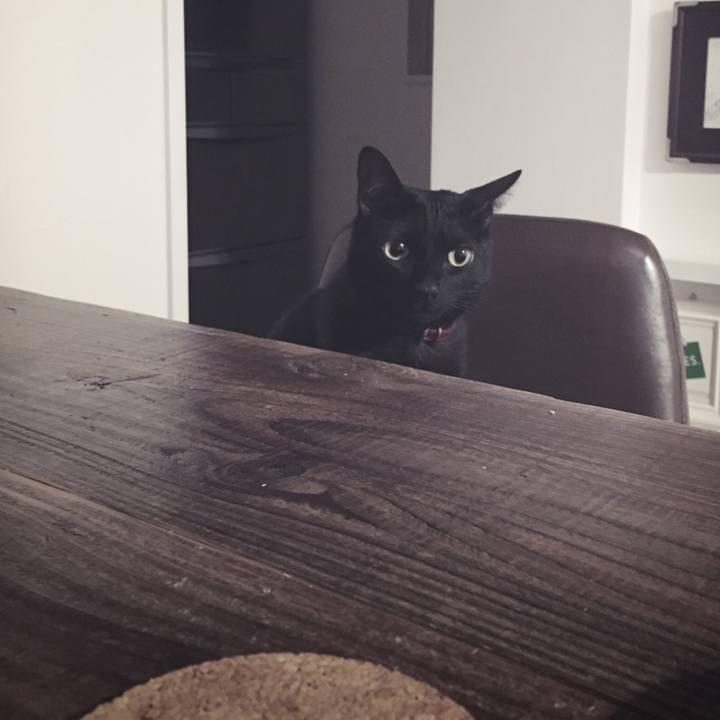 E554bf22 72c0 444a 967b 849c0431c204