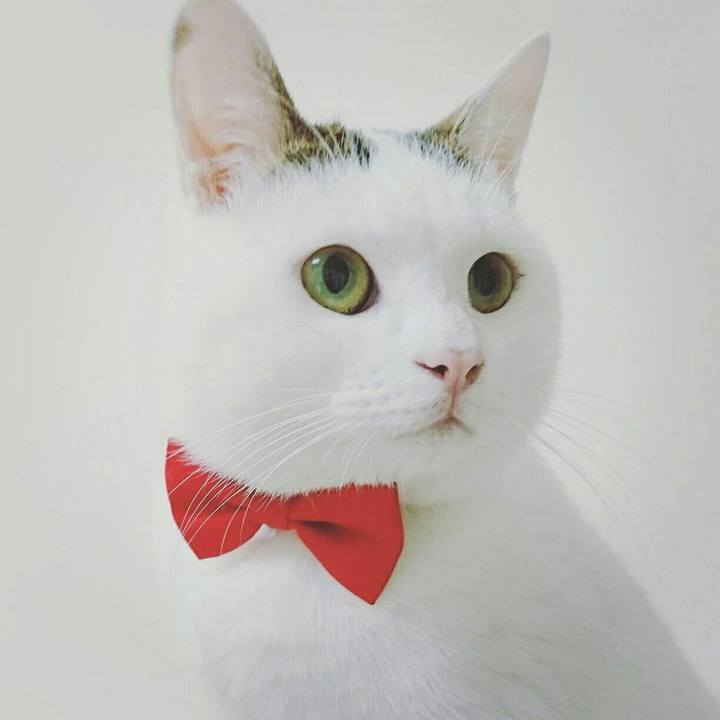 E5554e46 c17d 487f b905 be5d3e7fd2db