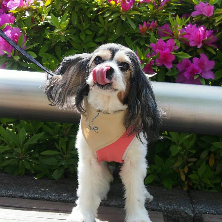 E555593e f354 4cfe a864 f025e102e568