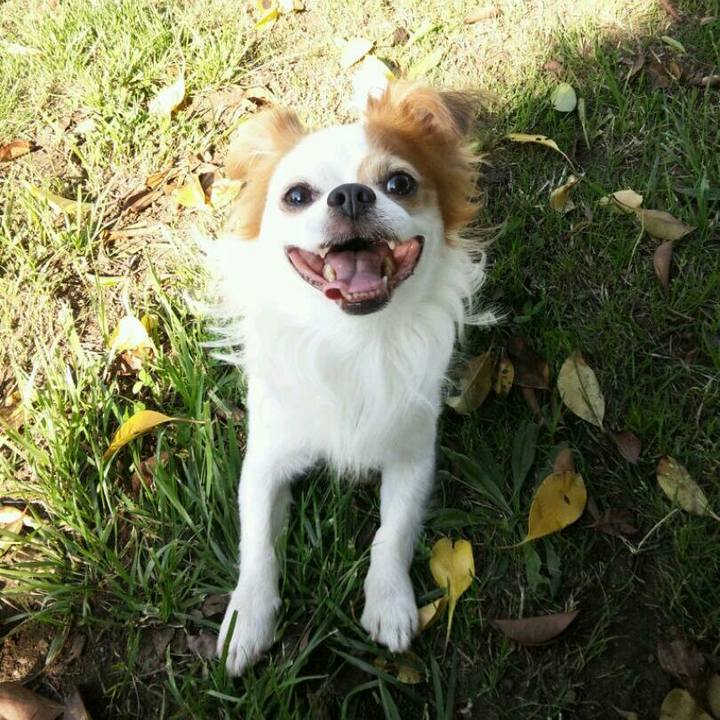 E5565f28 c5d3 4b78 b265 be6ec0c777da