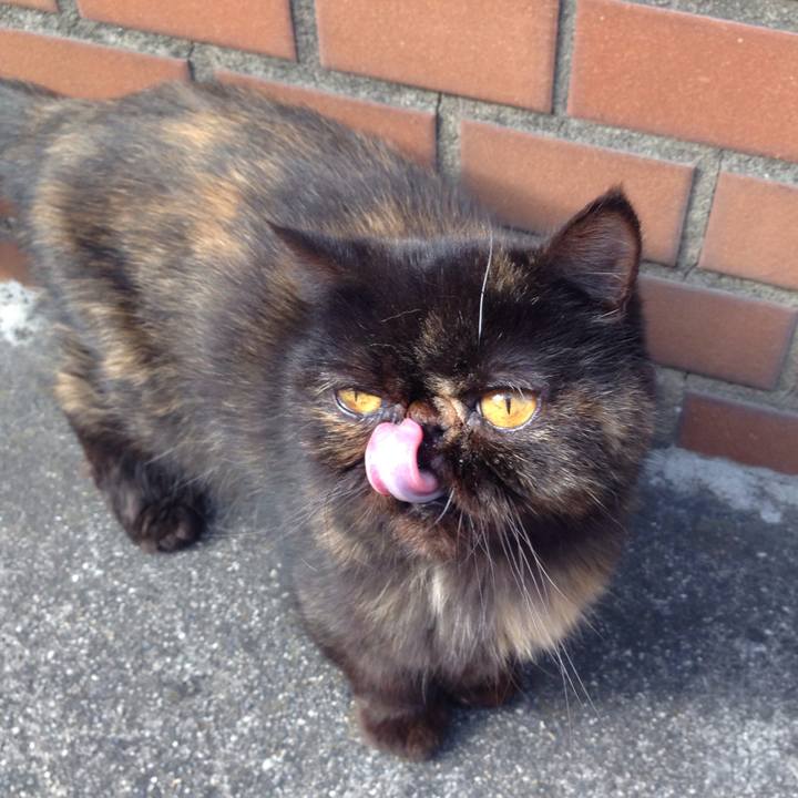 E557054e 1d11 4fde a3ff 8a1f3fd77671