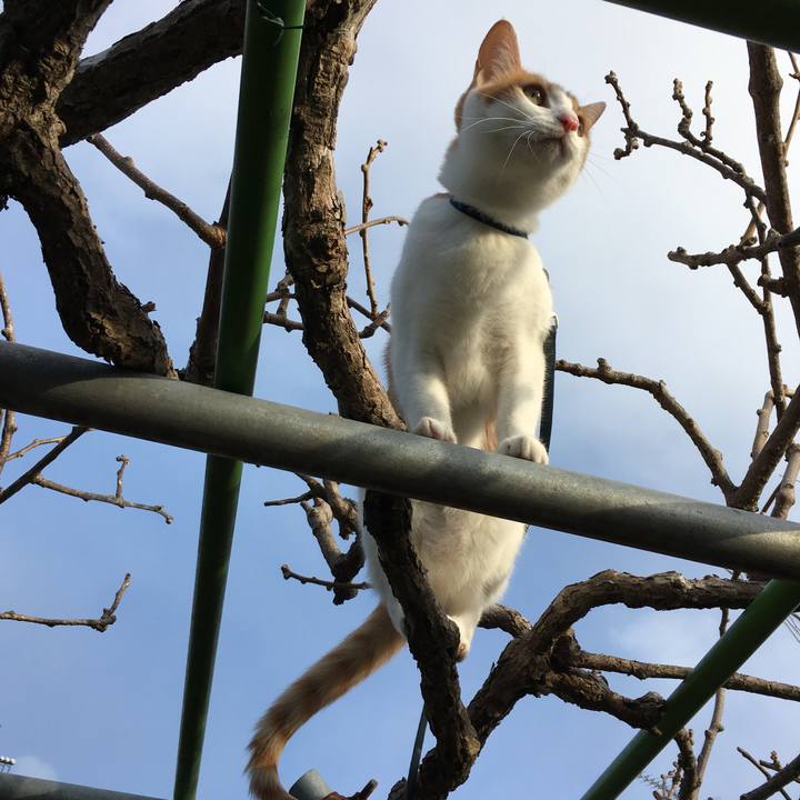 E55799ab 0b14 4fa2 896e 42d04b512a12