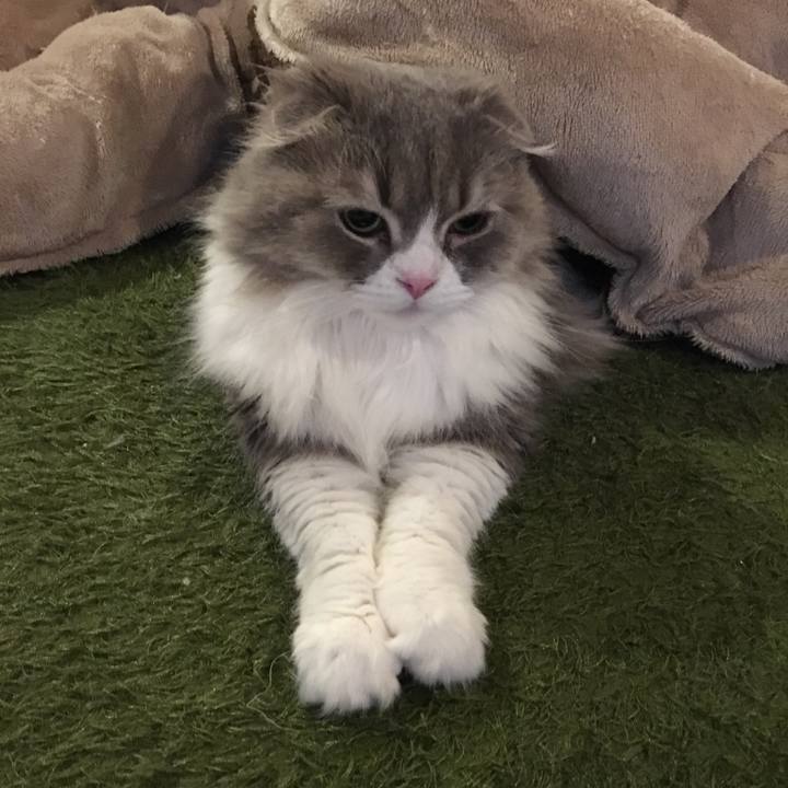 E5579da0 009c 49ef 9201 4f5e6de6086b