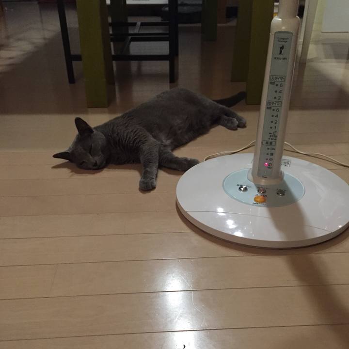 E557e6af 5458 4600 8cc8 3e2d785b05df