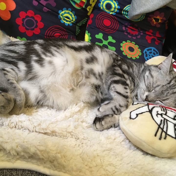 E557f834 d974 48d8 819b 06c0218d2c3b