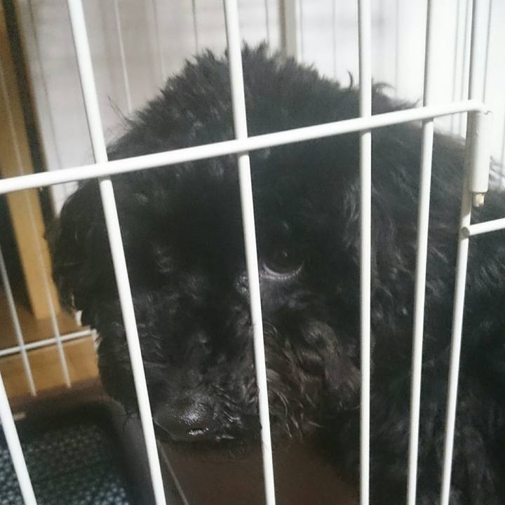 E558320e ea66 4737 bea8 a557ca9bac6f