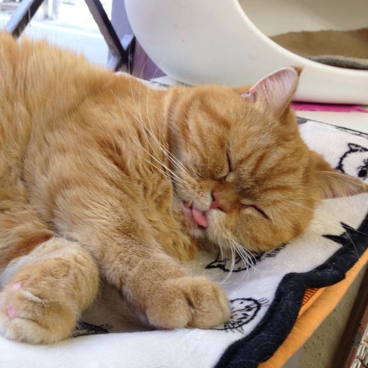 E5589c3d aafd 4bd9 a0b0 6728b655477b